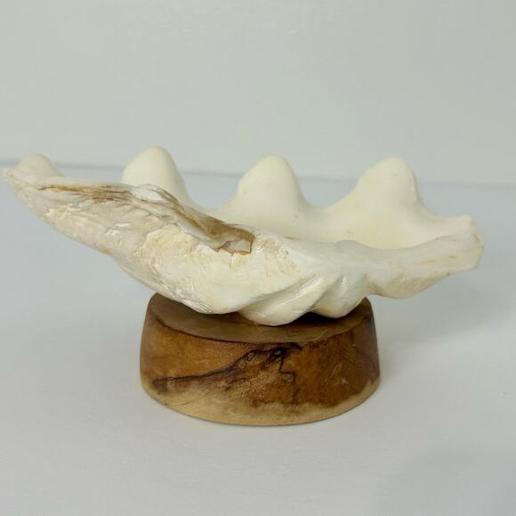 Vintage Sea Shell Dish Handmade Wood MCM Nautical Mid Century Retro - Picture 1 of 6